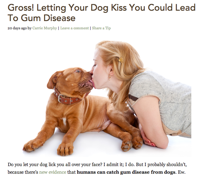 You could get gum disease from.. your dog!