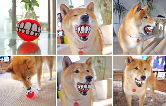 Teeth Ball For Dogs