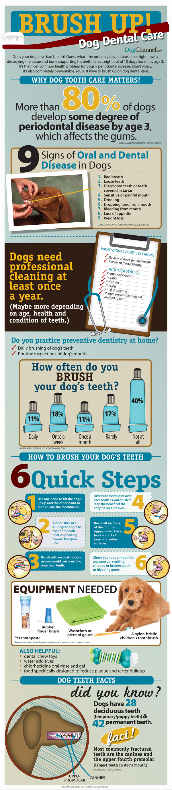 Brush Up On Dog Dental Care!